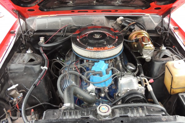 203 cubic inch Windsor v8 in a 1969 ford ranchero