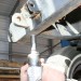 bumper 03 thumbnail