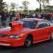 DSC_2573 thumbnail