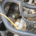 EFI 05 thumbnail