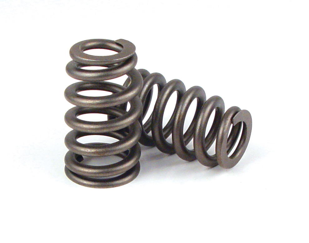 a pair of engine valve springs