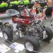 Cincinnati_2016 (125) thumbnail