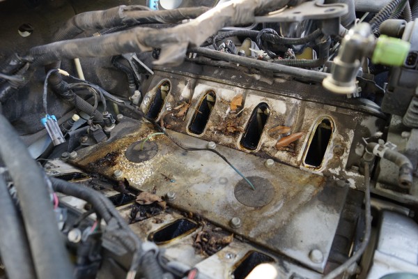 crusty, rusted ls engine with intake removed