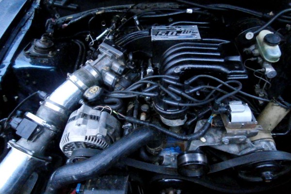 5.0L engine inside an sn95 ford mustang