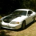 Mustang 1 thumbnail