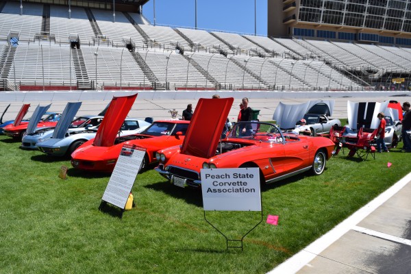 corvette car club at a show