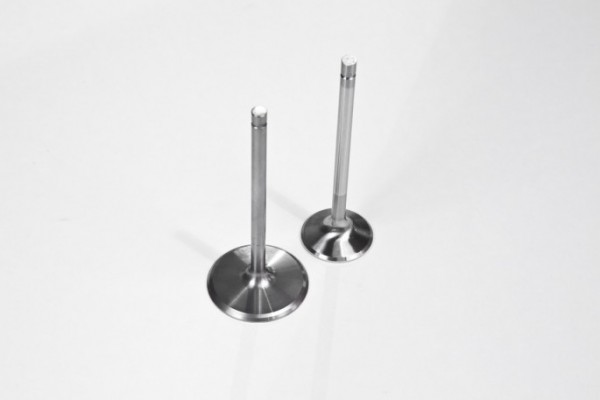 pair of engine valves