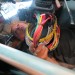 img_1078 thumbnail