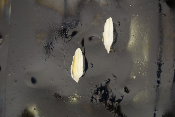 How to Choose an Oil Pan