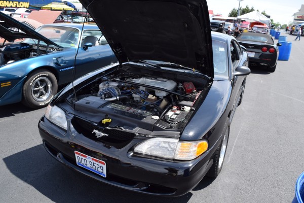 ford mustang sn95