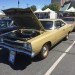 IMG_1101 thumbnail