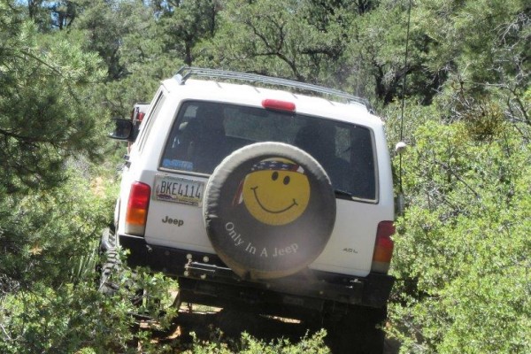 jeep cherokee xj driving through brush on a trail
