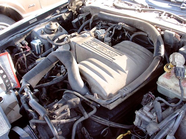 Ford 5.0L HO