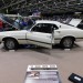 Kansas_City_17_Show_Photos-(159) thumbnail