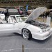 Kansas_City_17_Show_Photos-(23) thumbnail