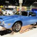 _DSC3801 thumbnail