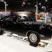 _DSC3997 thumbnail