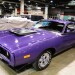 _DSC4346 thumbnail
