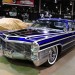 _DSC4680 thumbnail