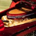_DSC4782 thumbnail
