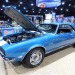 Winnipeg 2017 (48) thumbnail