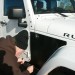 006 thumbnail