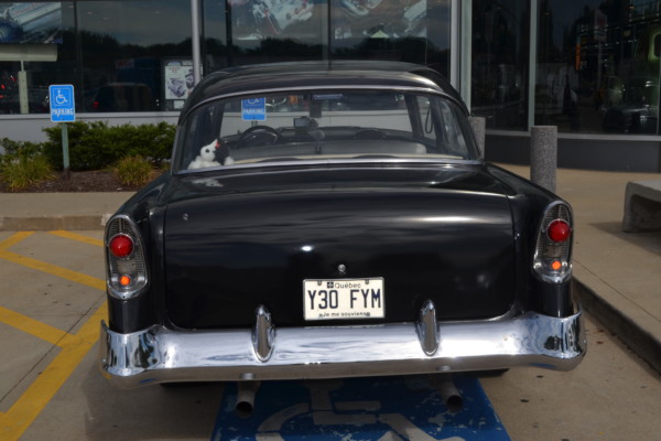 rear view of a 1956 chevy bel air at summit racing
