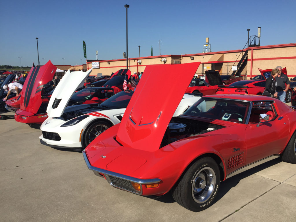 Atlanta Motorama row of Corvettes