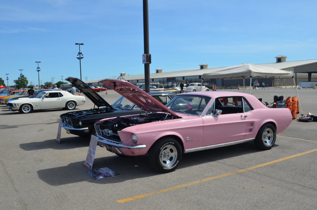 Pair-of-Mustangs