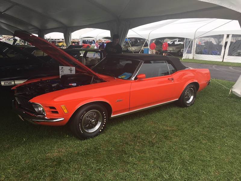 orange shelby ford mustang convertible classic