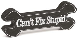 Can't Fix Stupid Sign