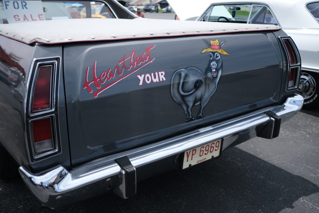 Donkey Paint Job