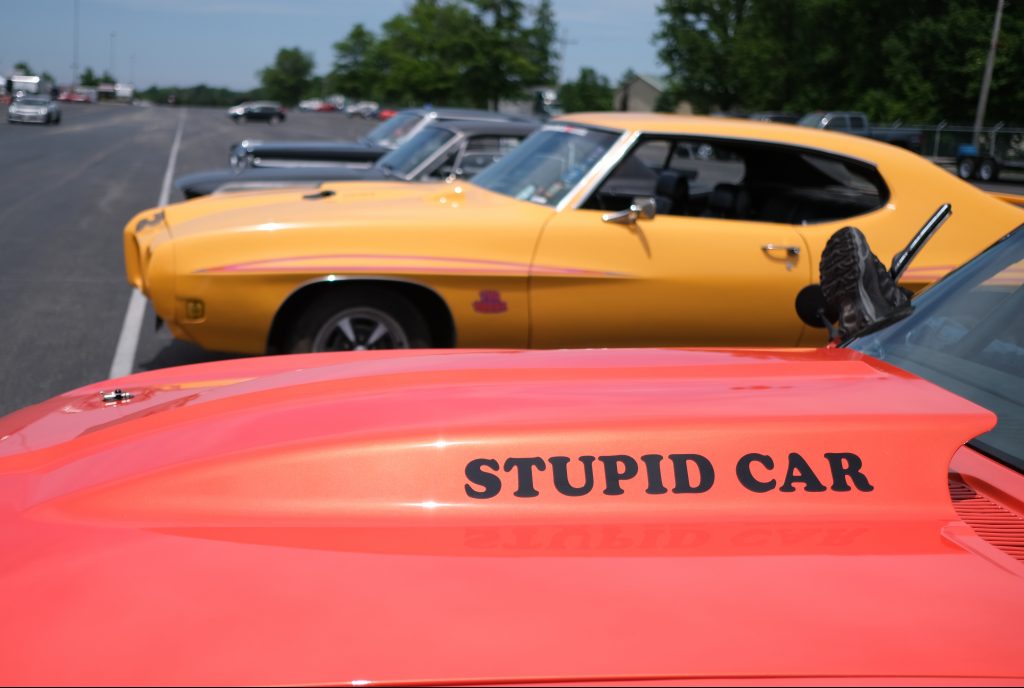 Stupid Car Decal