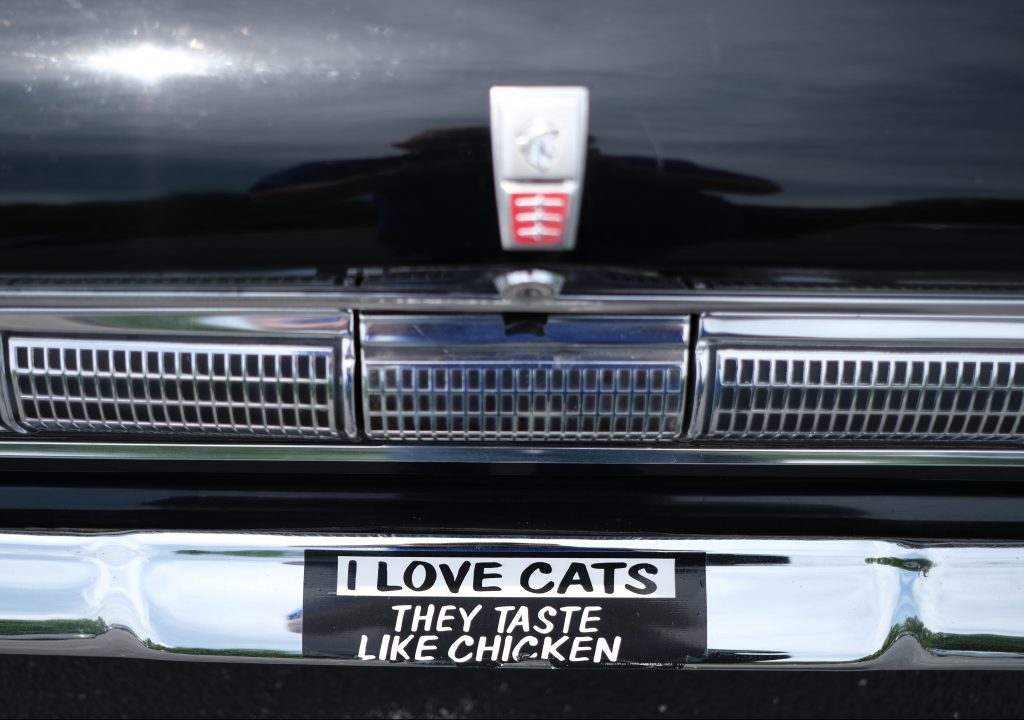 I Love Cats Sticker