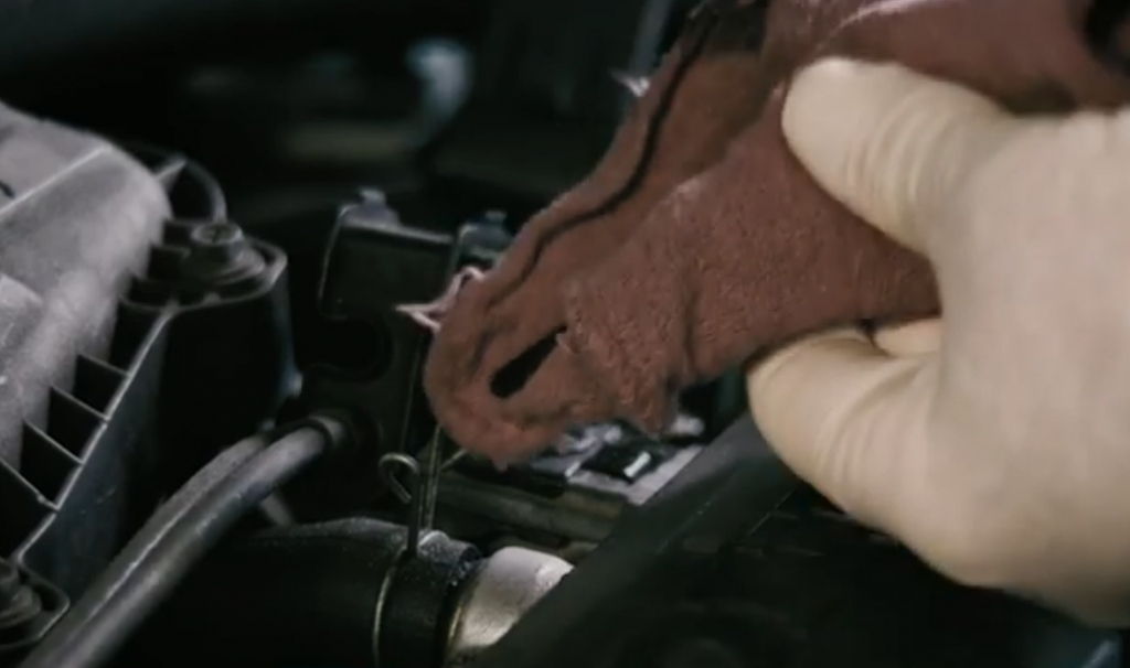 man wiping an oil dipstick clean after an oil change