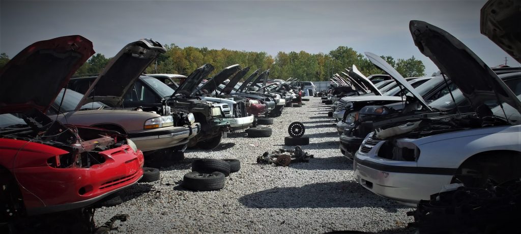 row of junked cars in a junkyard