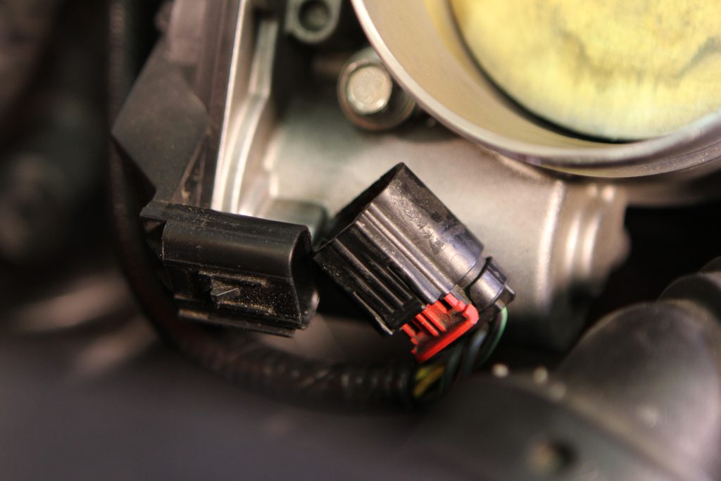 a disconnected vehicle electrical connector